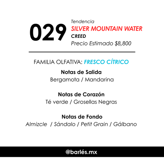 Elixir 029 Inspirado en Silver Mountain Water