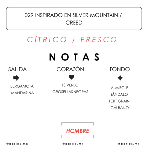 Elixir 029 Inspirado en Silver Mountain Water