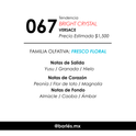 Elixir 067 Inspirado en bright crystal